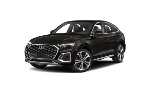 Q5